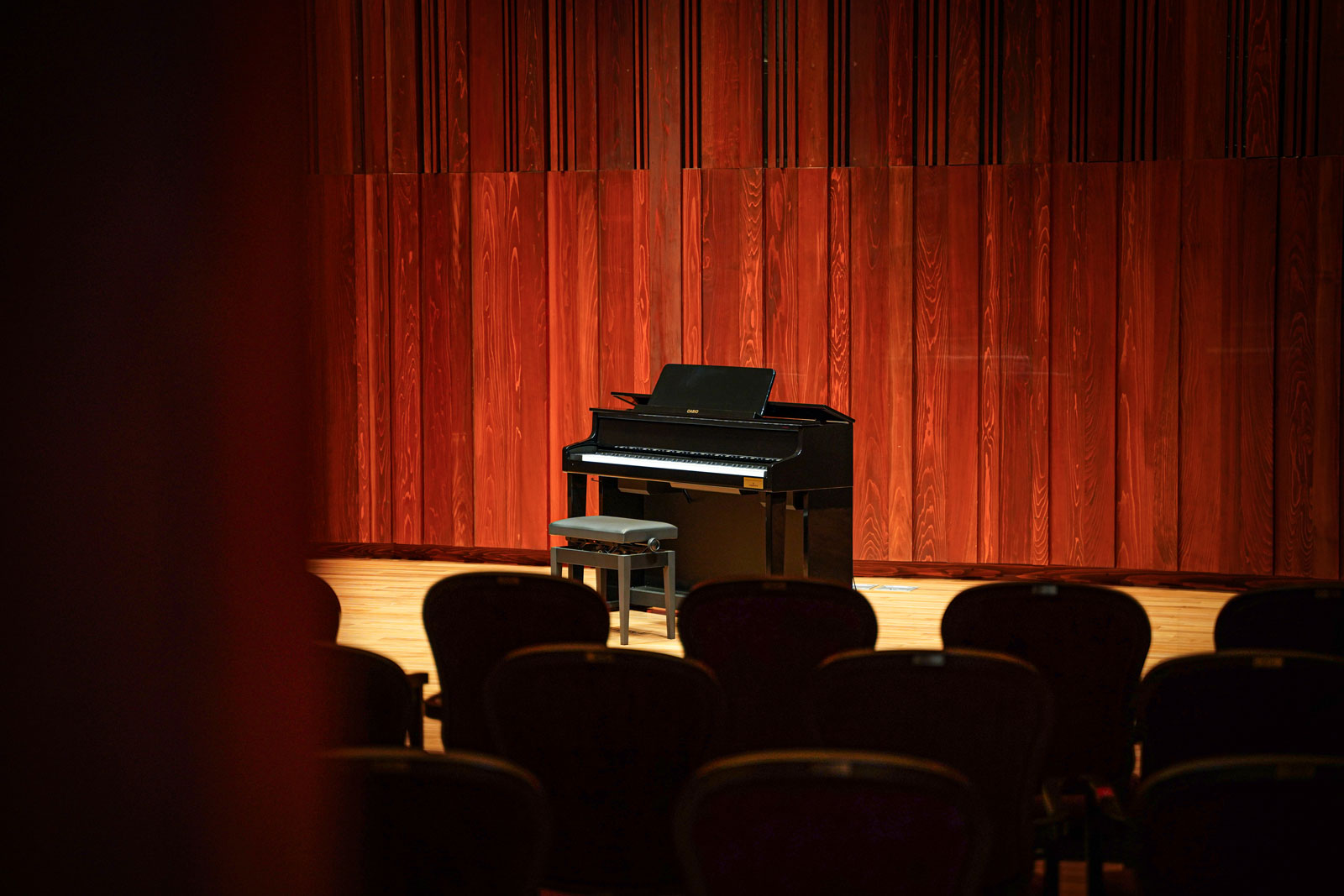 阿格里奇故居的《塞尔维亚诺