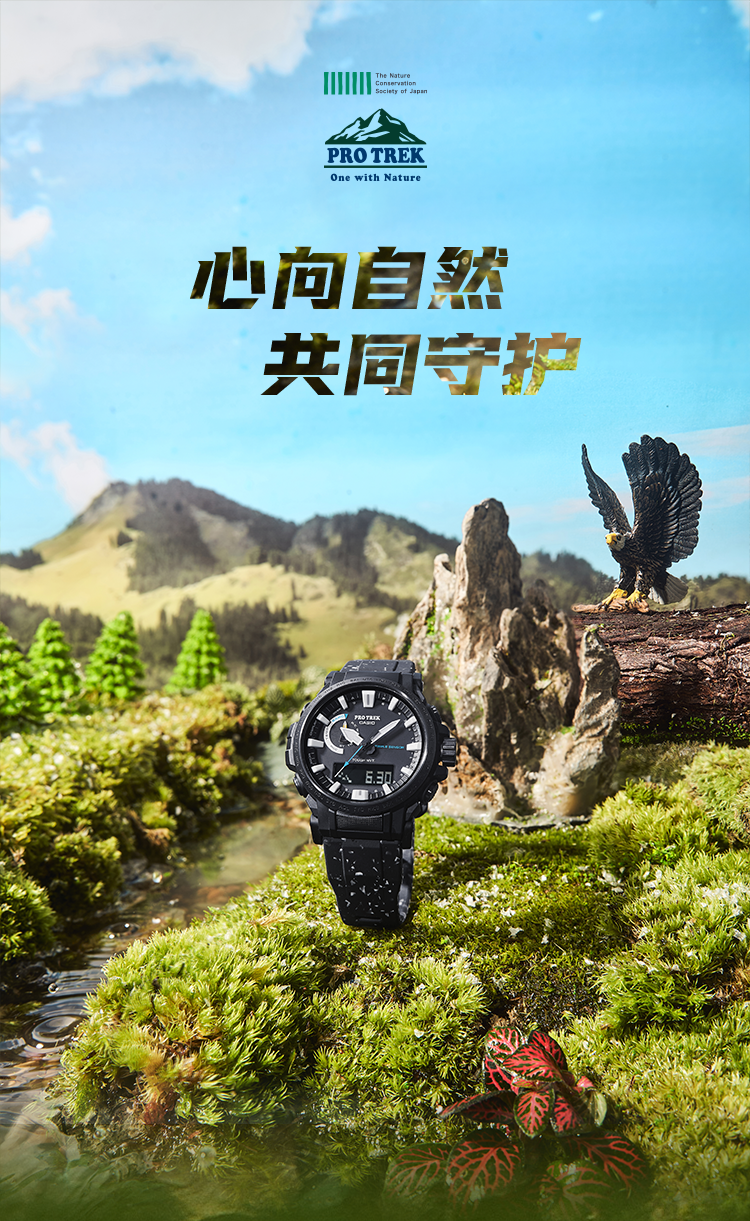 心向自然，共同守护