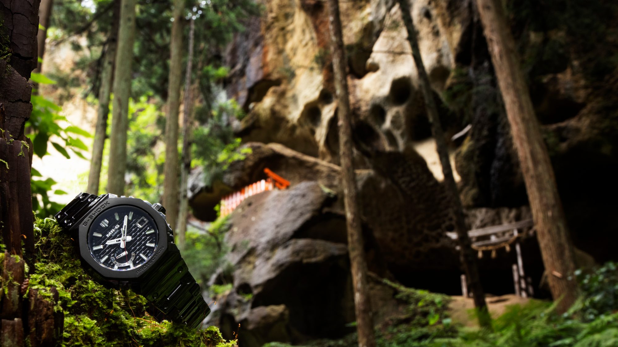 永恒的力量，永恒的优雅