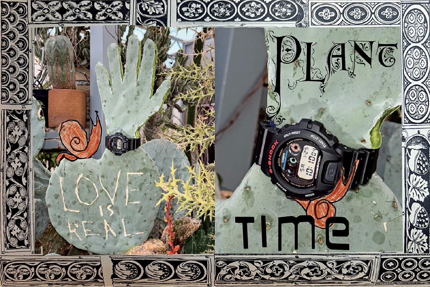 DW-6900 作品的照片