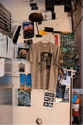 仙人掌商店的照片。